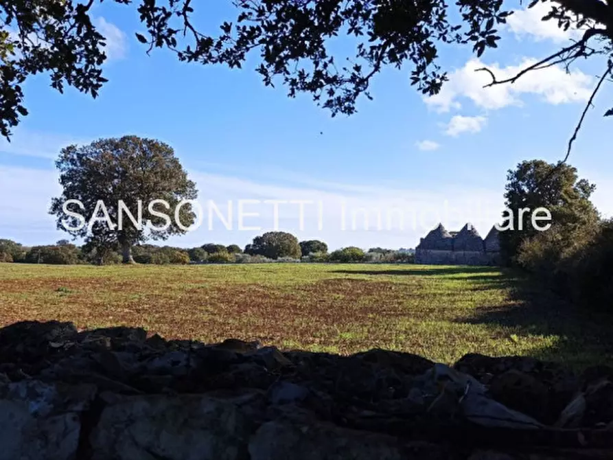 Immagine 20 di Rustico / casale in vendita  in CELLA a Monopoli