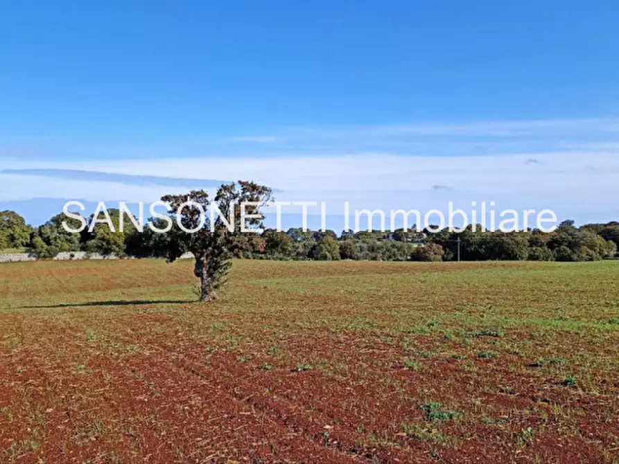 Immagine 22 di Rustico / casale in vendita  in CELLA a Monopoli