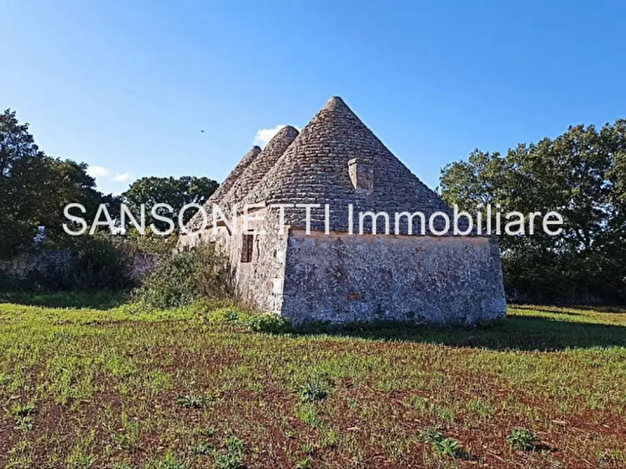 Immagine 24 di Rustico / casale in vendita  in CELLA a Monopoli