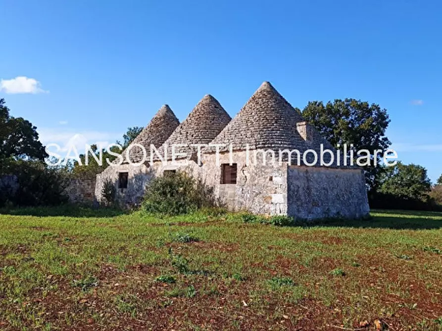 Immagine 25 di Rustico / casale in vendita  in CELLA a Monopoli