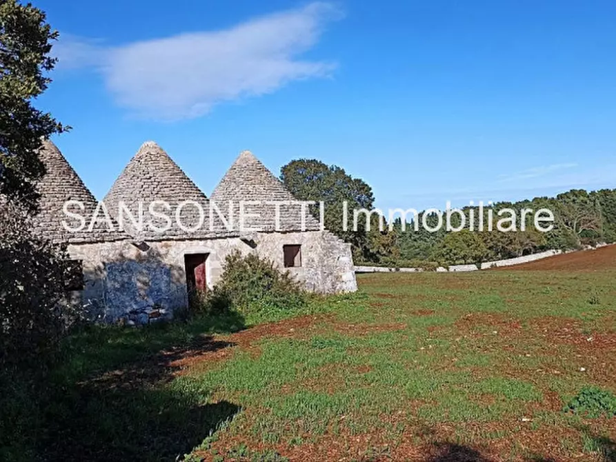 Immagine 28 di Rustico / casale in vendita  in CELLA a Monopoli