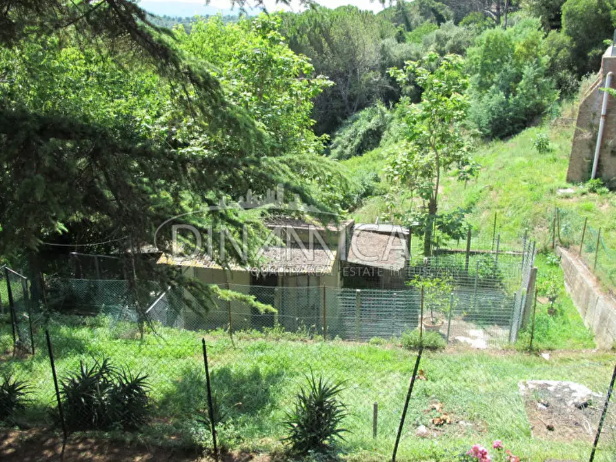 Immagine 3 di Villa in vendita  a Fauglia