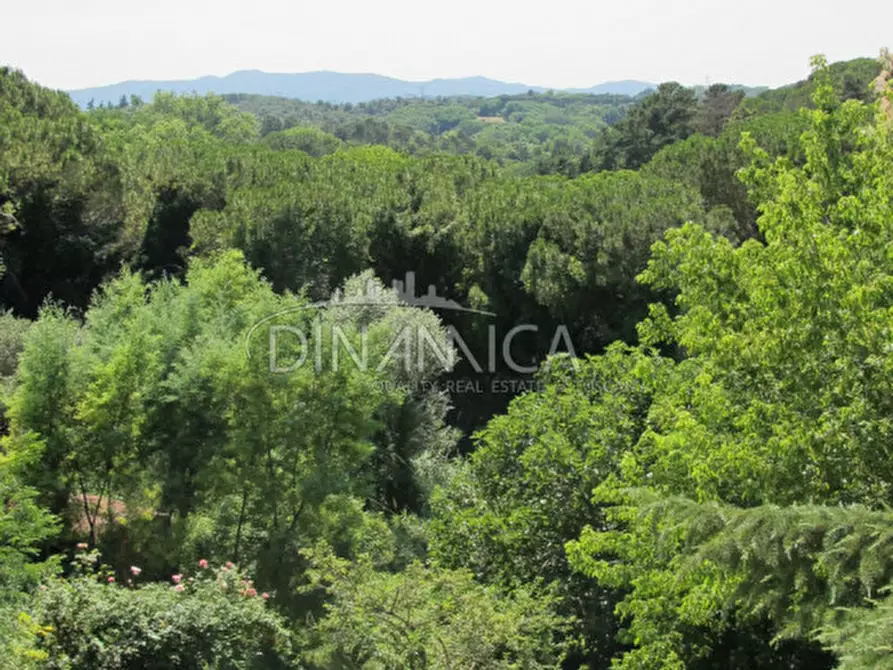 Immagine 4 di Villa in vendita  a Fauglia