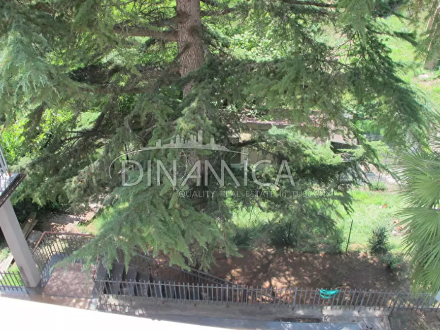 Immagine 18 di Villa in vendita  a Fauglia