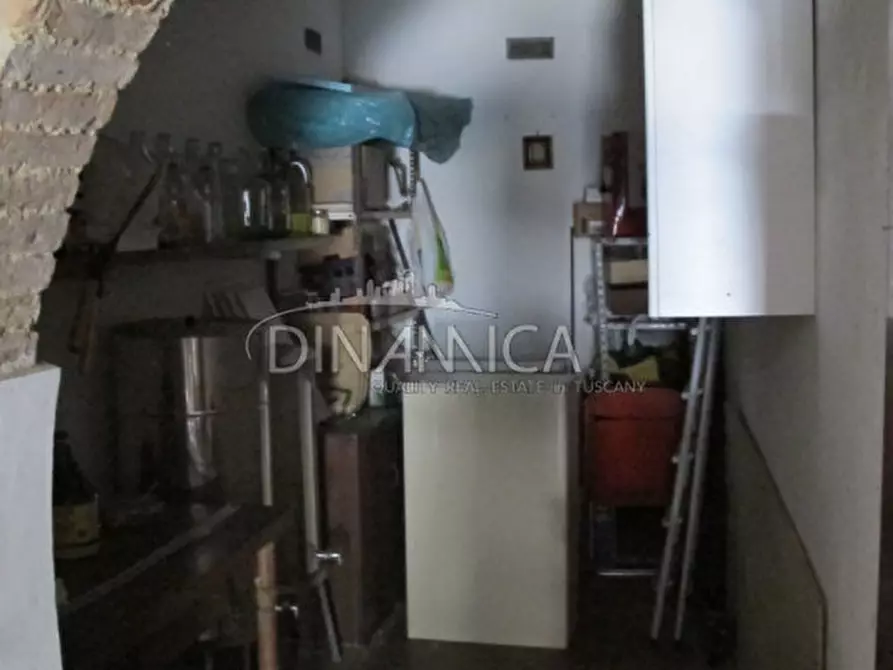 Immagine 34 di Villa in vendita  a Fauglia