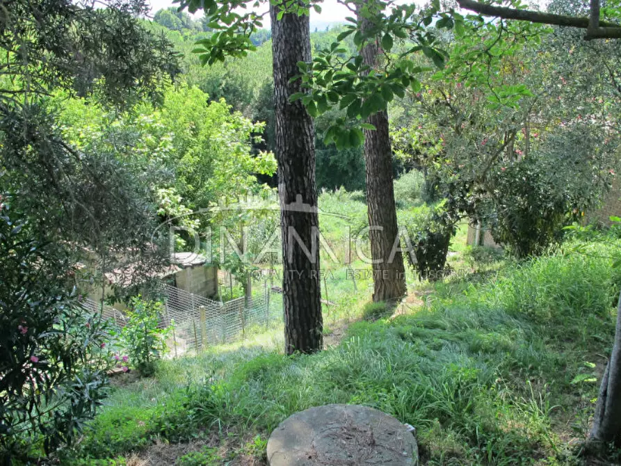 Immagine 38 di Villa in vendita  a Fauglia