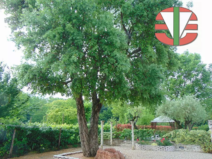 Immagine 26 di Casa bifamiliare in vendita  in Piombino Dese a Piombino Dese