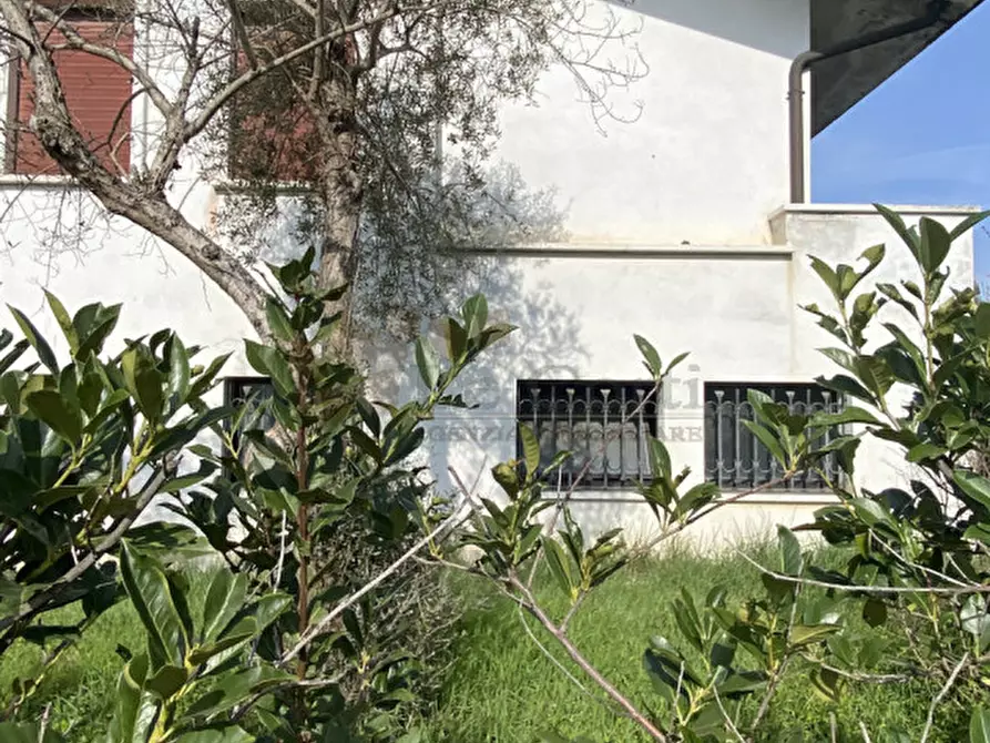 Immagine 3 di Casa indipendente in vendita  a Urbana