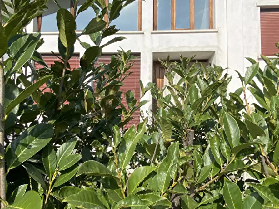 Immagine 4 di Casa indipendente in vendita  a Urbana