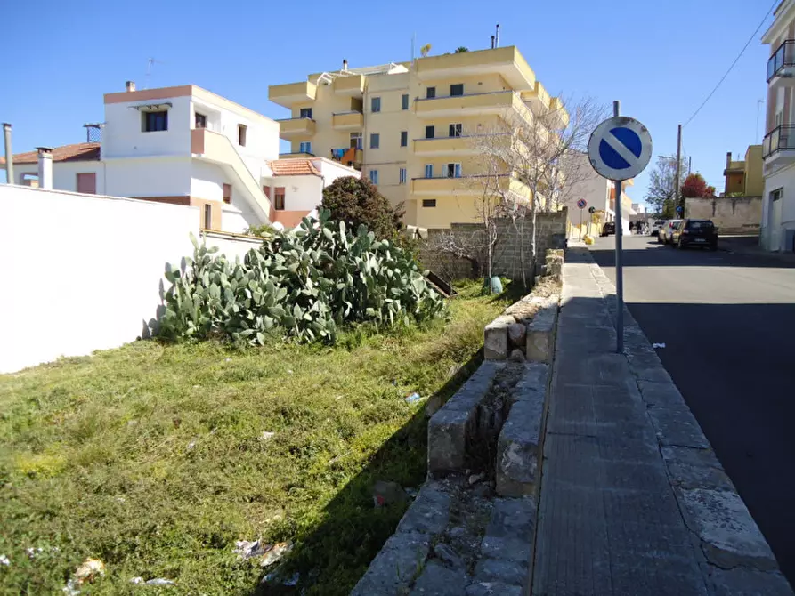 Immagine 2 di Terreno in vendita  in Viale degli Studenti a Sannicola