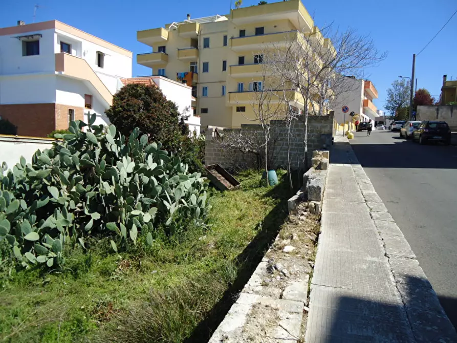 Immagine 8 di Terreno in vendita  in Viale degli Studenti a Sannicola