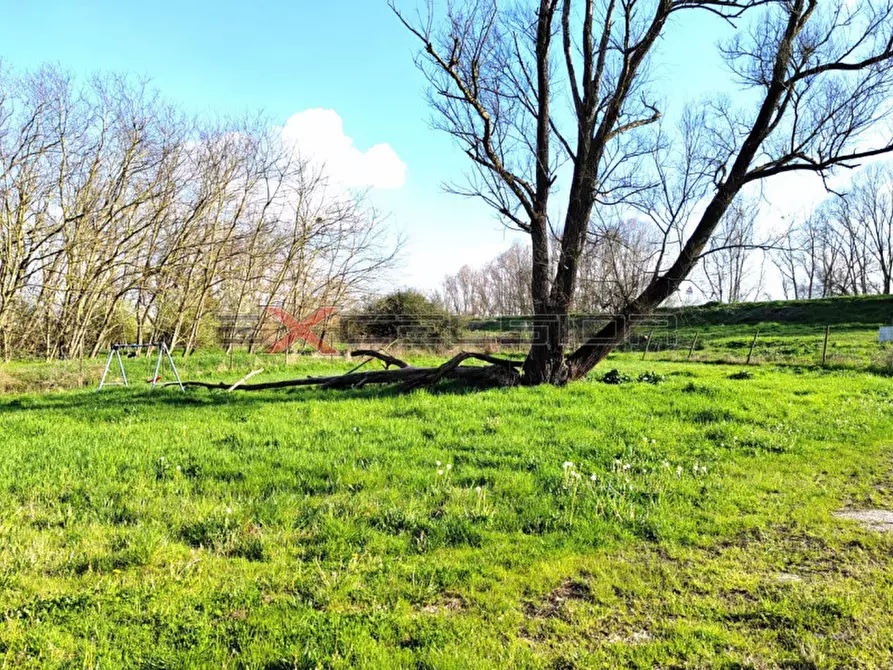 Immagine 13 di Casa bifamiliare in vendita  in Via G. Matteotti n.20 bis - Cavarzere (VE) a Cavarzere