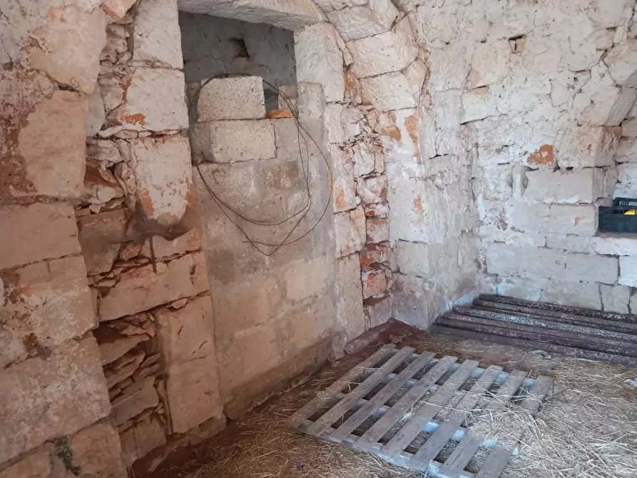 Immagine 21 di Rustico / casale in vendita  in C.da Foggia di Sauro a Ostuni