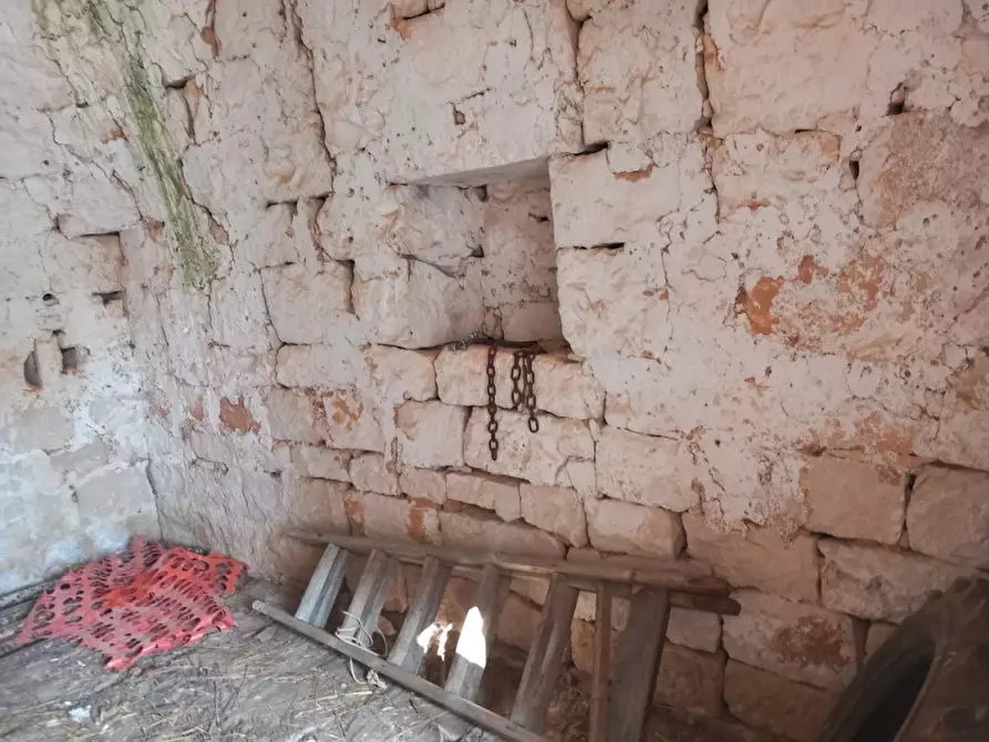 Immagine 22 di Rustico / casale in vendita  in C.da Foggia di Sauro a Ostuni