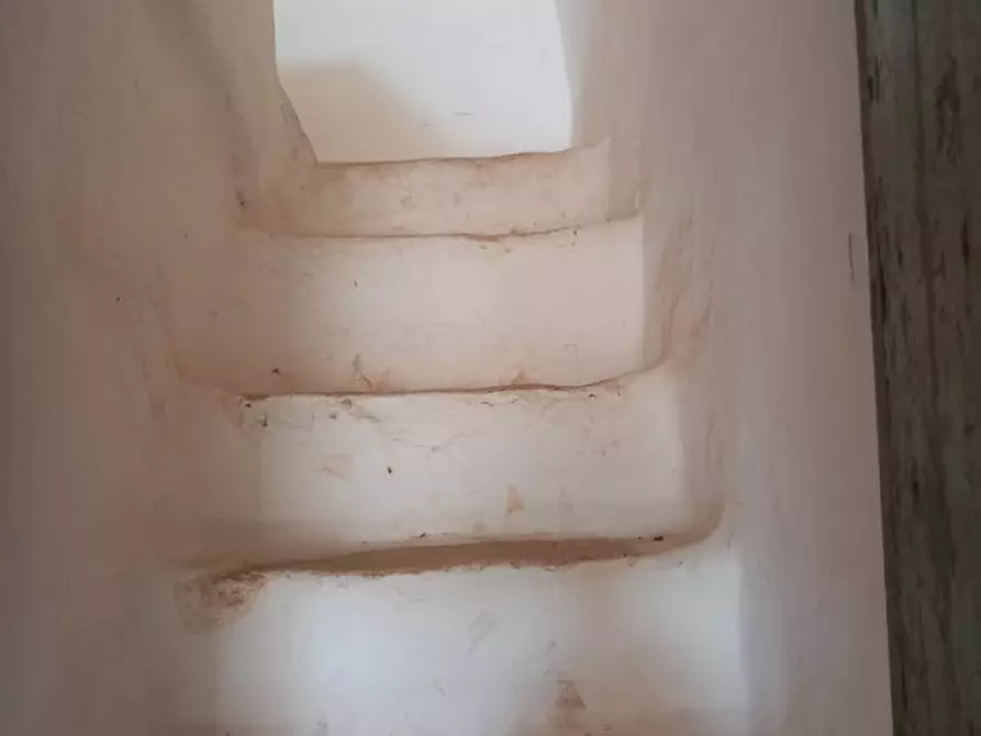 Immagine 37 di Rustico / casale in vendita  in C.da Foggia di Sauro a Ostuni