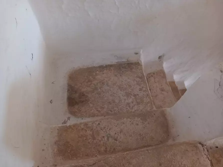 Immagine 40 di Rustico / casale in vendita  in C.da Foggia di Sauro a Ostuni