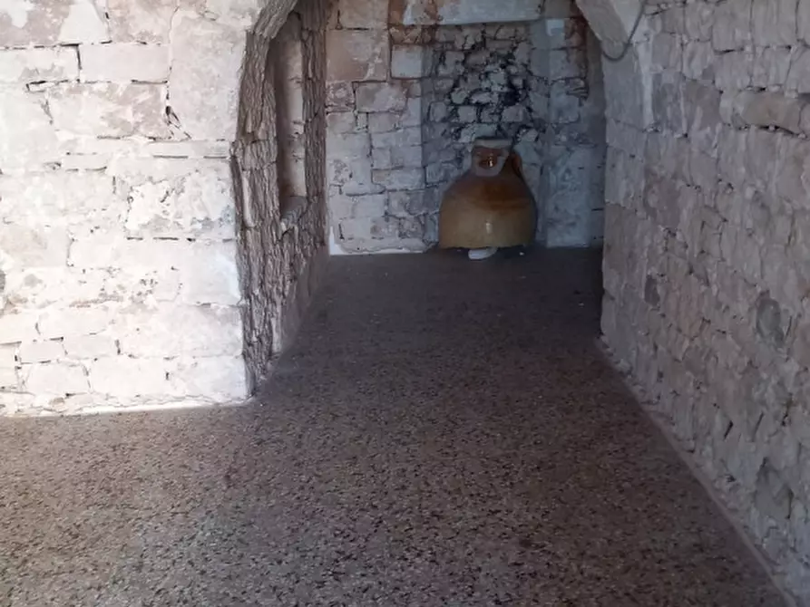 Immagine 41 di Rustico / casale in vendita  in C.da Foggia di Sauro a Ostuni