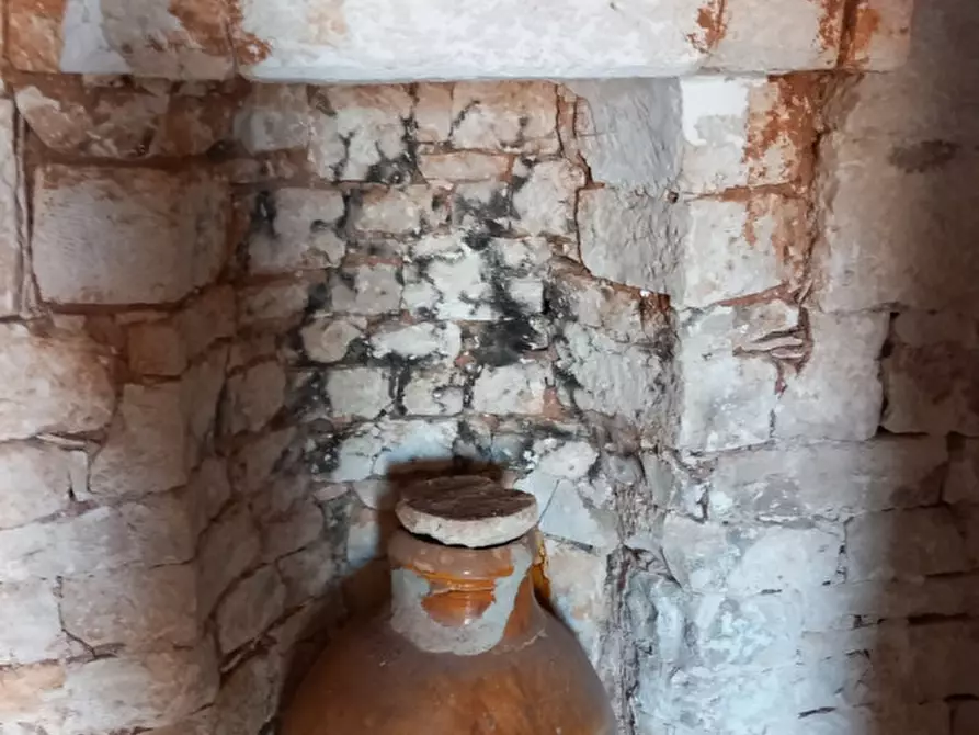Immagine 42 di Rustico / casale in vendita  in C.da Foggia di Sauro a Ostuni