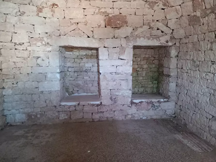 Immagine 46 di Rustico / casale in vendita  in C.da Foggia di Sauro a Ostuni