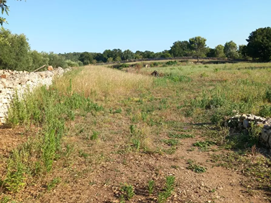Immagine 54 di Rustico / casale in vendita  in C.da Foggia di Sauro a Ostuni