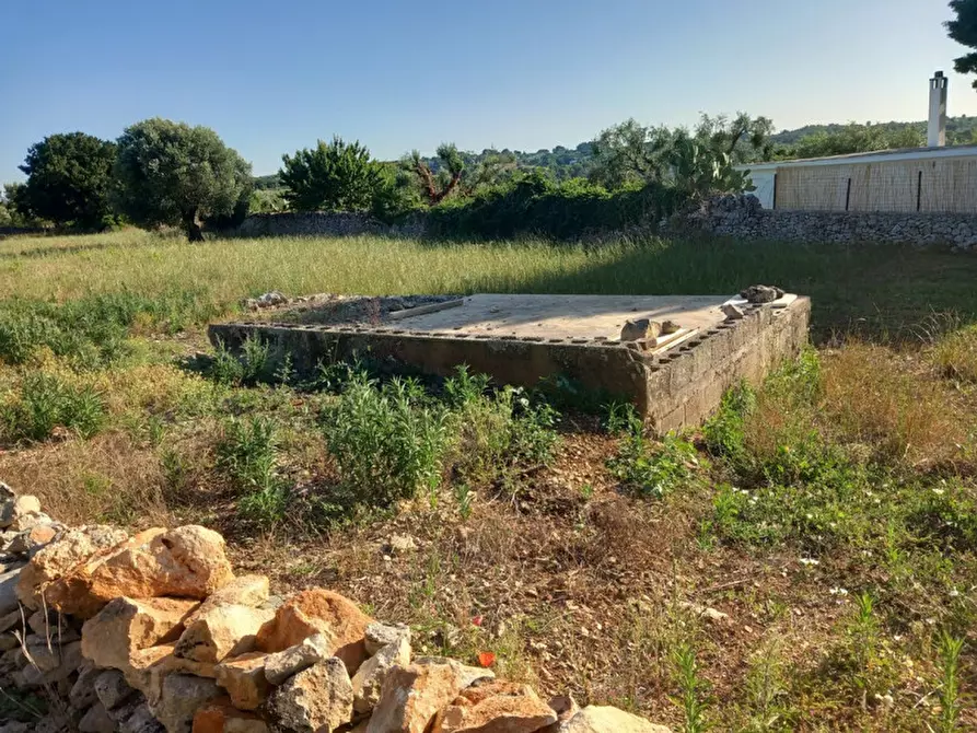 Immagine 55 di Rustico / casale in vendita  in C.da Foggia di Sauro a Ostuni