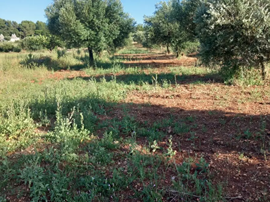 Immagine 56 di Rustico / casale in vendita  in C.da Foggia di Sauro a Ostuni