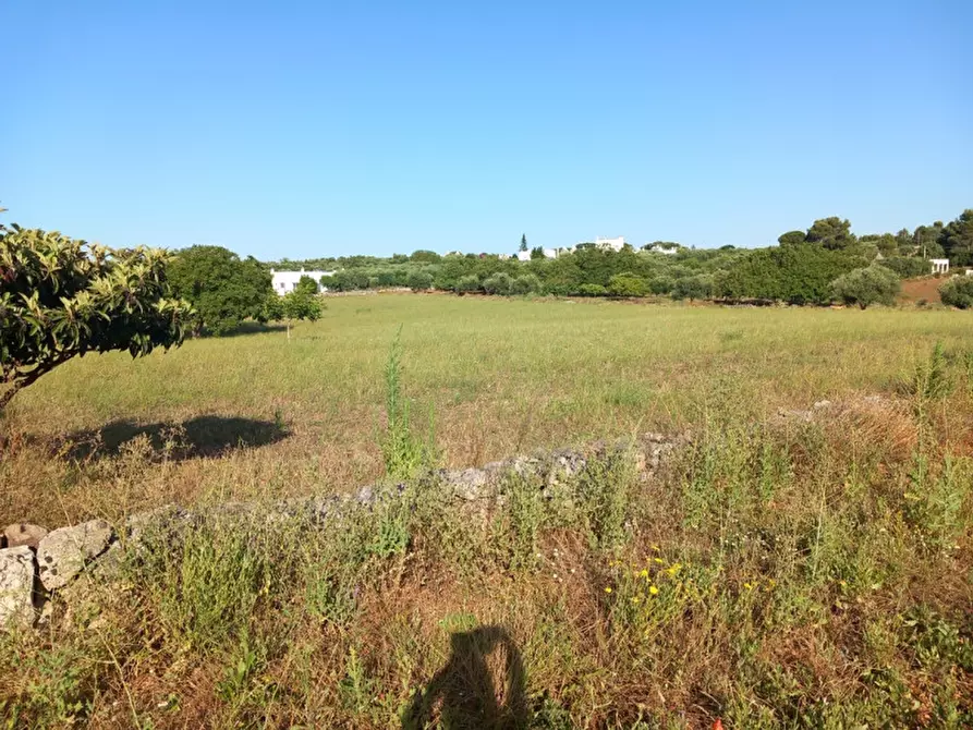 Immagine 57 di Rustico / casale in vendita  in C.da Foggia di Sauro a Ostuni