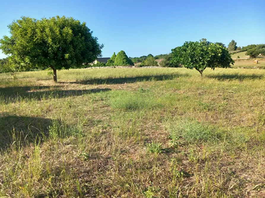 Immagine 58 di Rustico / casale in vendita  in C.da Foggia di Sauro a Ostuni