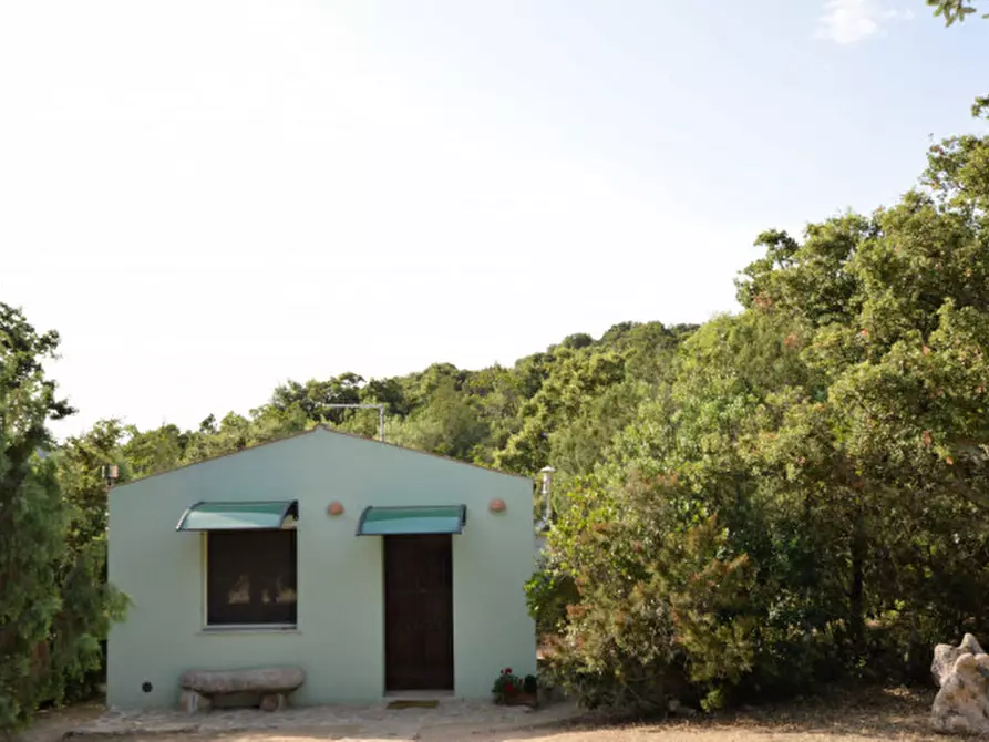 Immagine 5 di Terreno in vendita  a Olbia