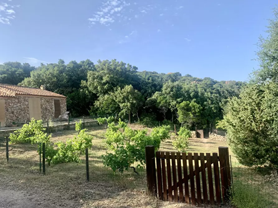 Immagine 6 di Terreno in vendita  a Olbia