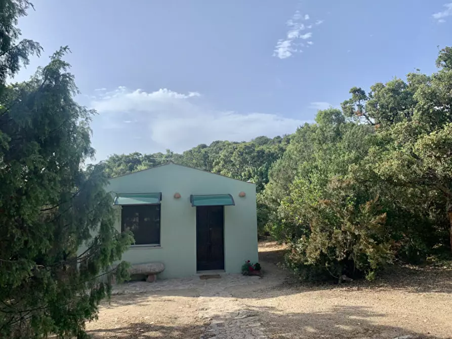 Immagine 7 di Terreno in vendita  a Olbia