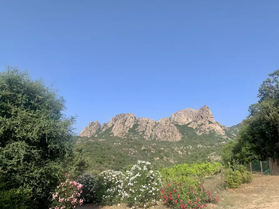 Immagine 8 di Terreno in vendita  a Olbia