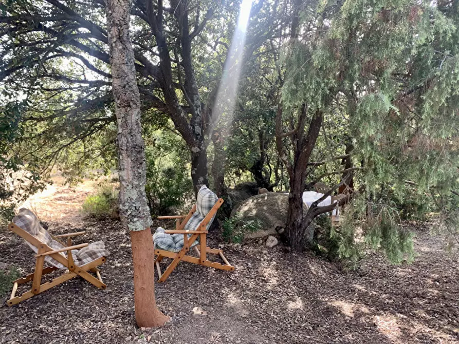 Immagine 11 di Terreno in vendita  a Olbia