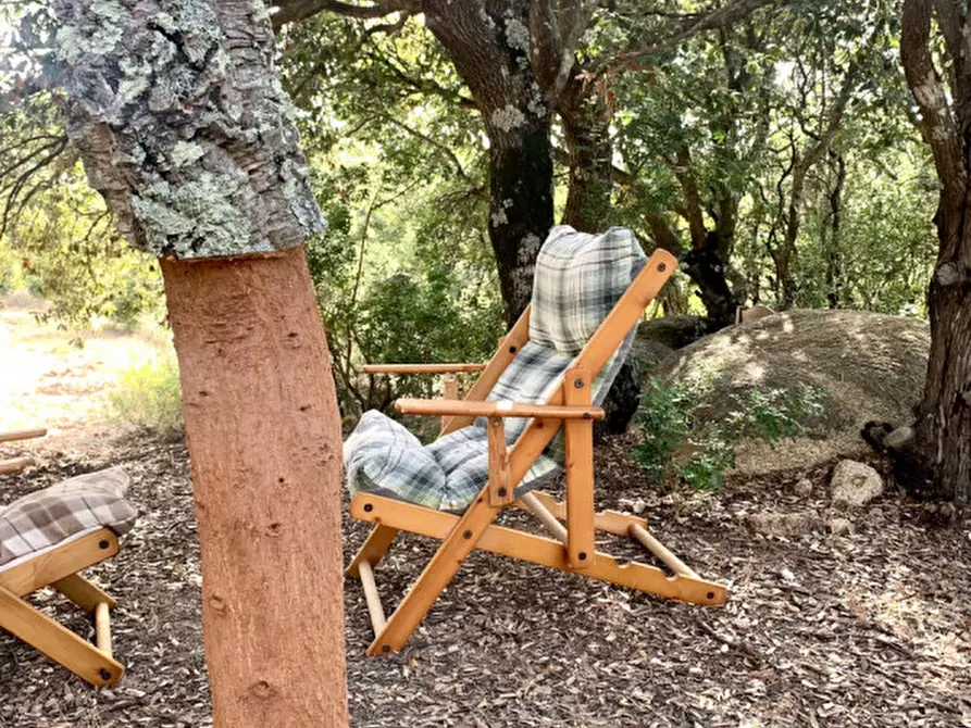 Immagine 12 di Terreno in vendita  a Olbia