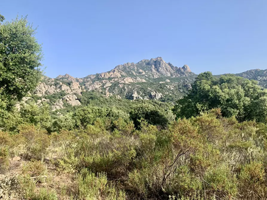 Immagine 13 di Terreno in vendita  a Olbia