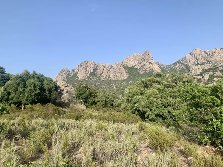 Immagine 14 di Terreno in vendita  a Olbia