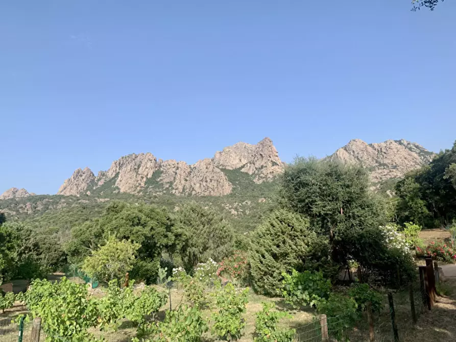 Immagine 15 di Terreno in vendita  a Olbia