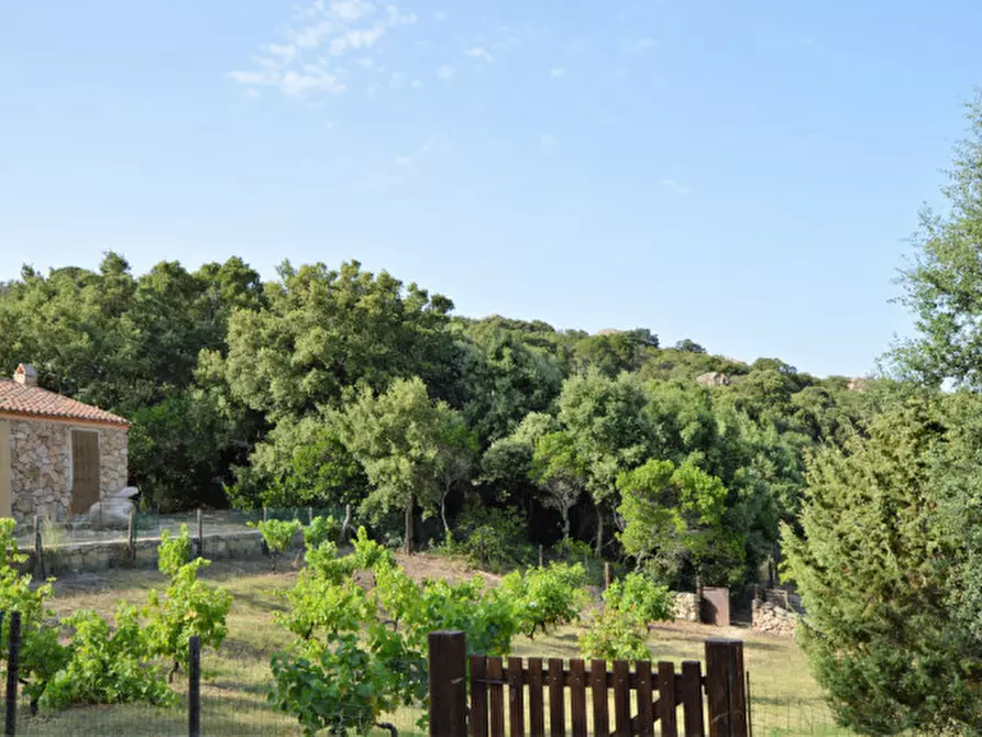 Immagine 16 di Terreno in vendita  a Olbia