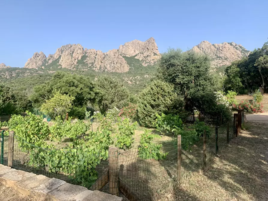 Immagine 17 di Terreno in vendita  a Olbia