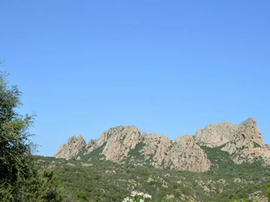 Immagine 18 di Terreno in vendita  a Olbia
