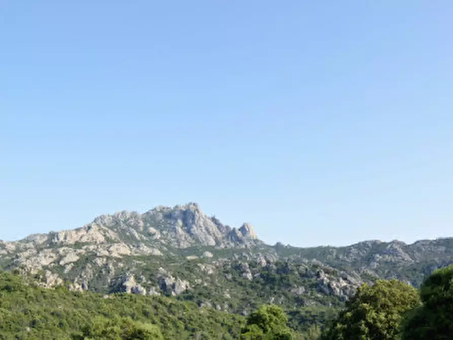 Immagine 22 di Terreno in vendita  a Olbia