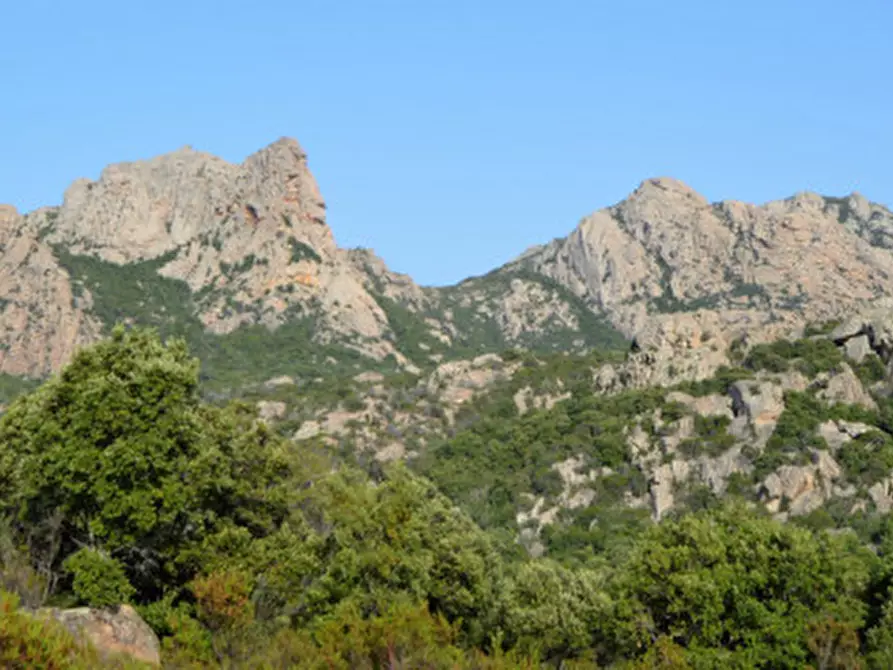 Immagine 23 di Terreno in vendita  a Olbia