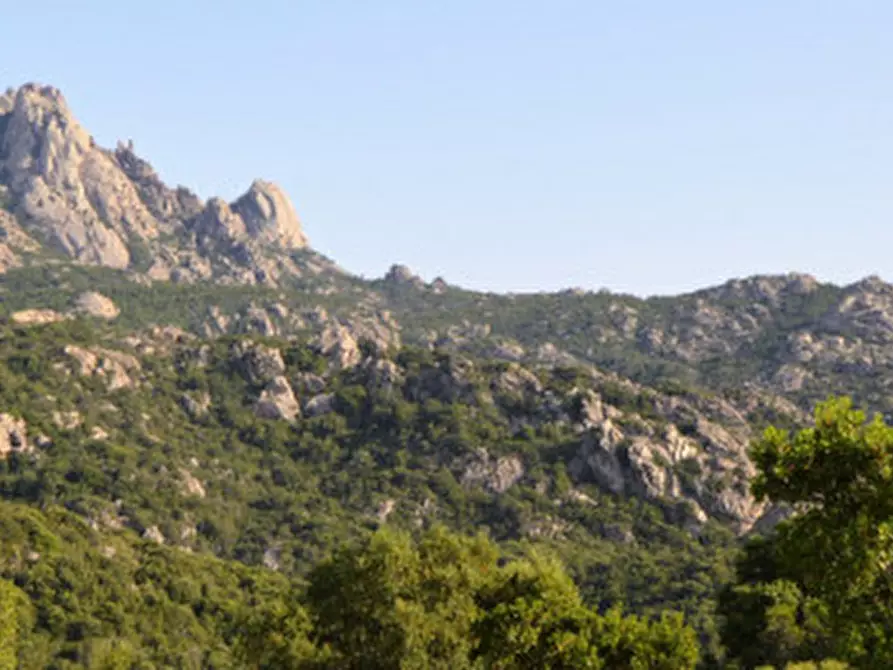 Immagine 24 di Terreno in vendita  a Olbia