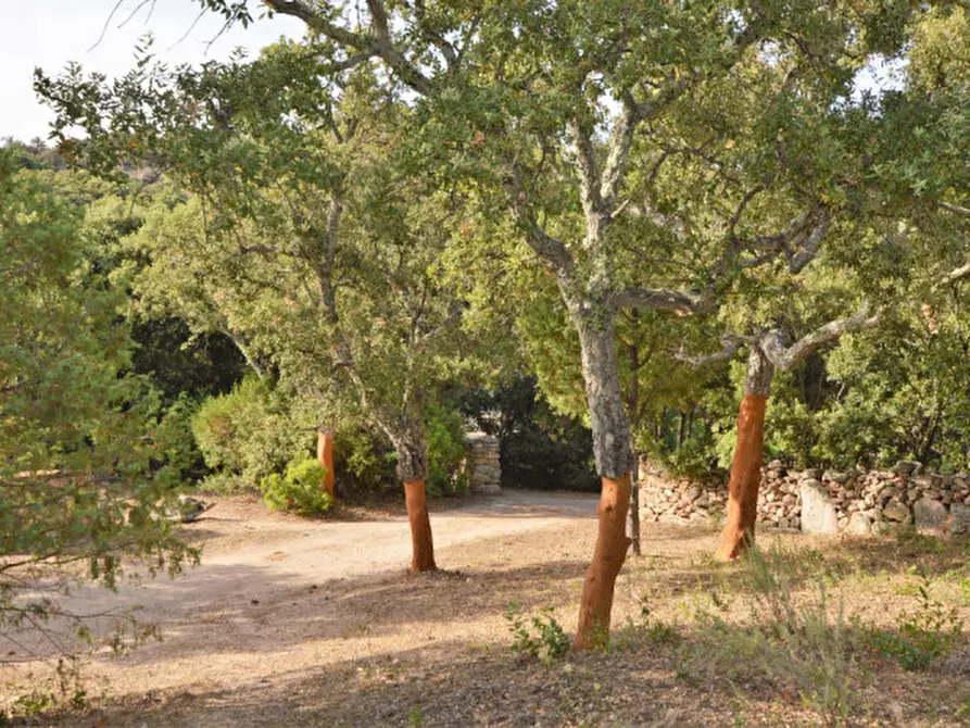 Immagine 26 di Terreno in vendita  a Olbia