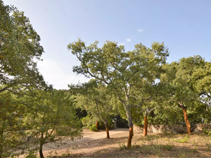 Immagine 27 di Terreno in vendita  a Olbia