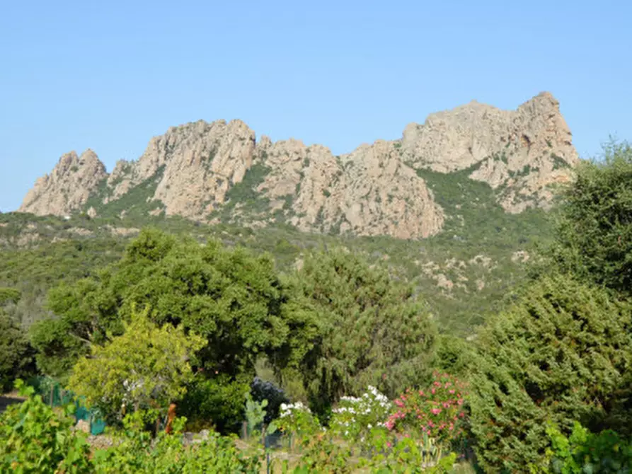 Immagine 28 di Terreno in vendita  a Olbia