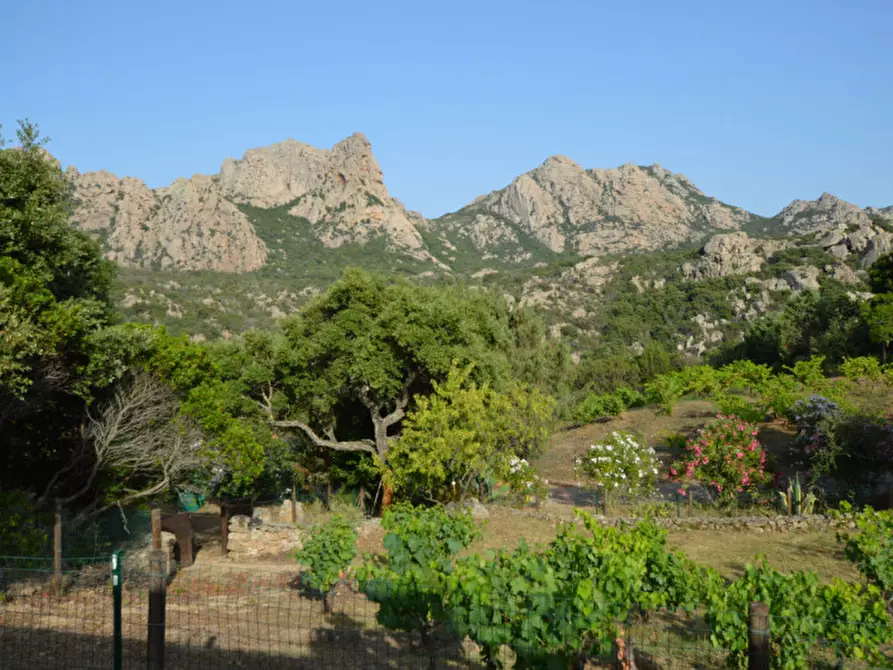 Immagine 29 di Terreno in vendita  a Olbia