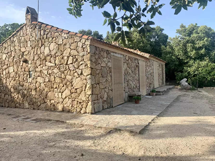 Immagine 32 di Terreno in vendita  a Olbia