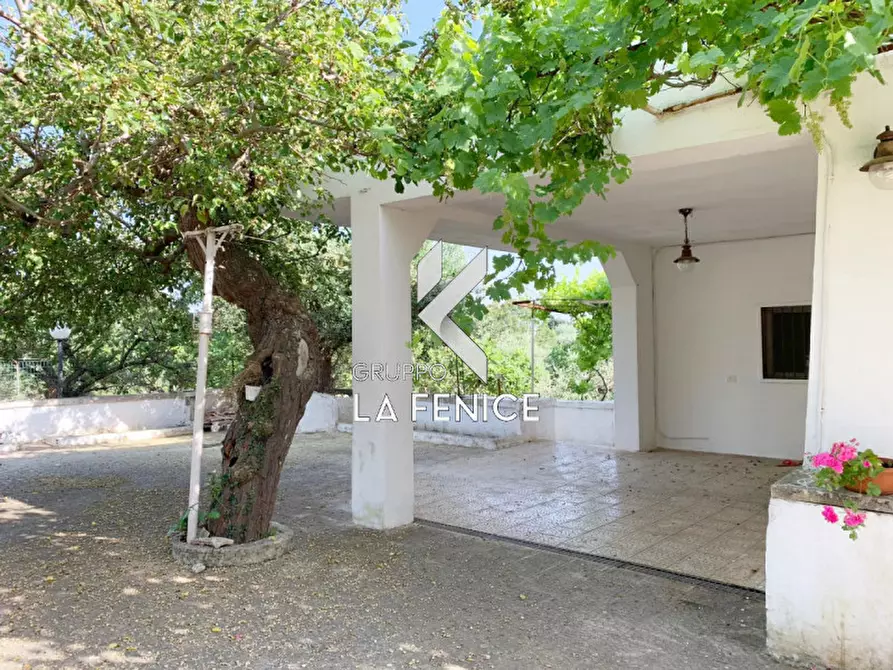 Immagine 2 di Rustico / casale in vendita  in contrada Contini a Locorotondo