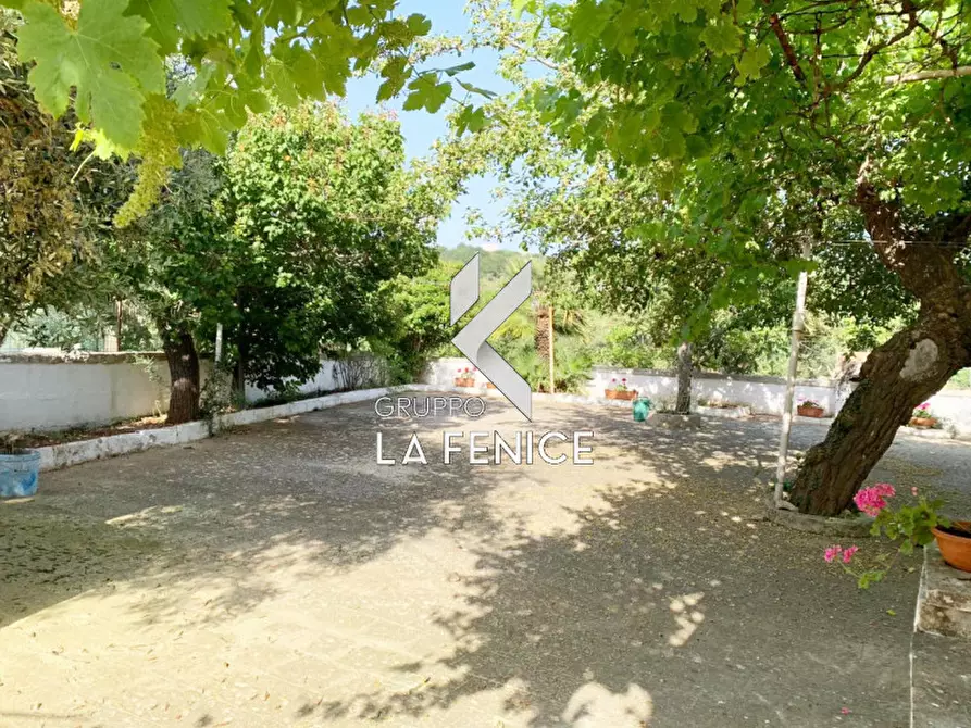 Immagine 9 di Rustico / casale in vendita  in contrada Contini a Locorotondo